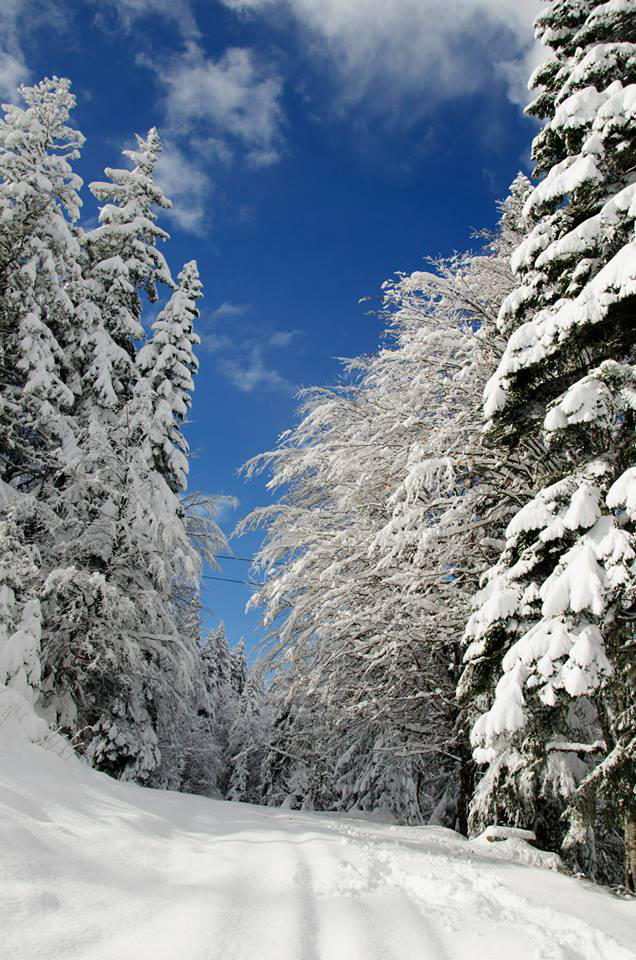 pamporovo-28-11-13